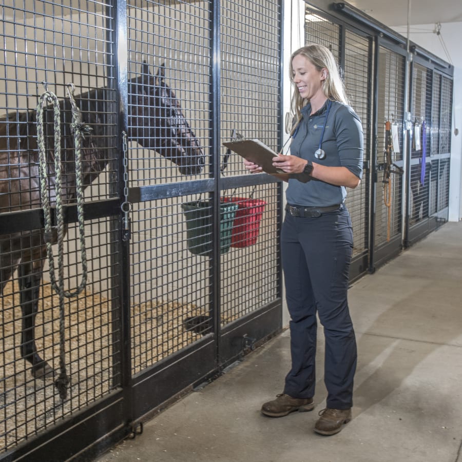 Great Lakes Equine in Hortonville