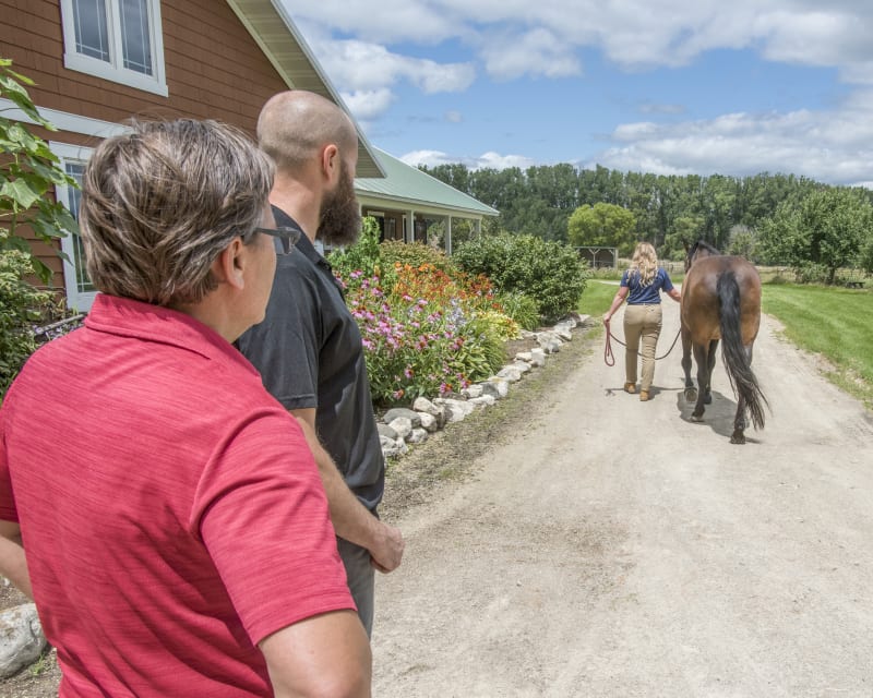 Equine Lameness Evaluations, Hortonville Vets