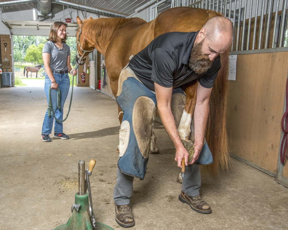 Farrier Services from Great Lakes Equine