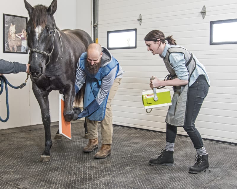 Diagnostic & Lab Technology, Hortonville Vet