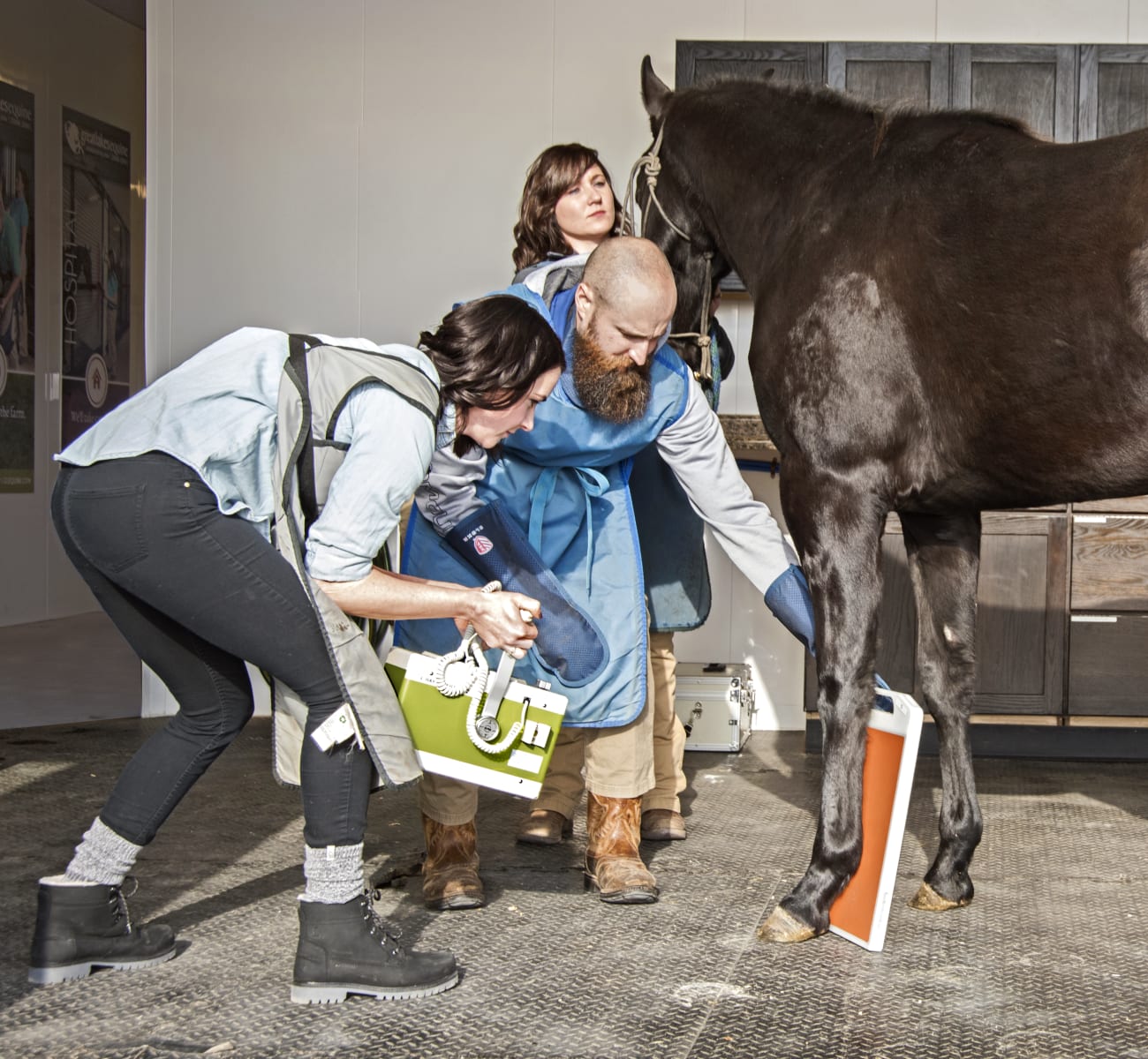 Great Lakes Equine in Hortonville